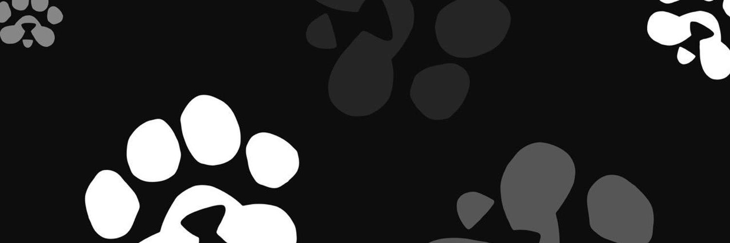 PAWS Telegram Mini App